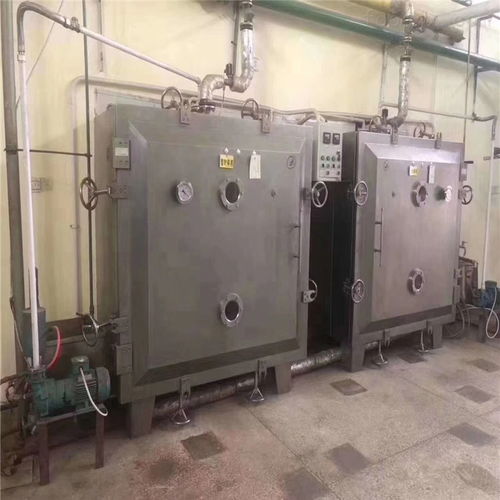 食品冻干机在大葱蔬菜冻干加工的应用优势与技术交流